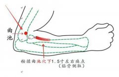 苏州国医堂孙国荣：曲池穴如何缓解疼痛